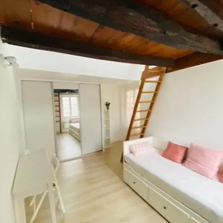 Louvre Apartment *